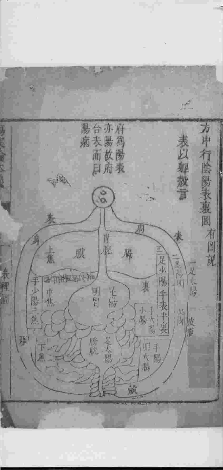 伤寒论本义  卷1